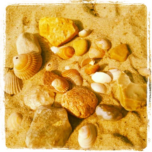 Muscheln und Steine