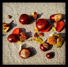 Dinge für Herbstliches Mandala