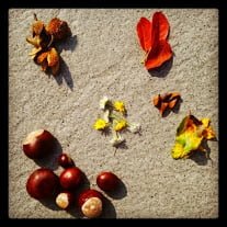 Dinge geordnet für Herbstliches Mandala
