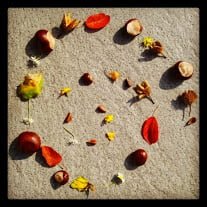 Herbstliches Mandala mit Dingen aus der Natur