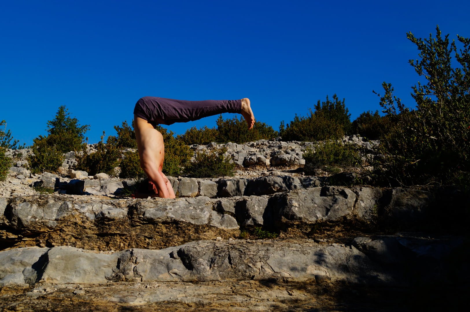 Dominik Grimm Yoga