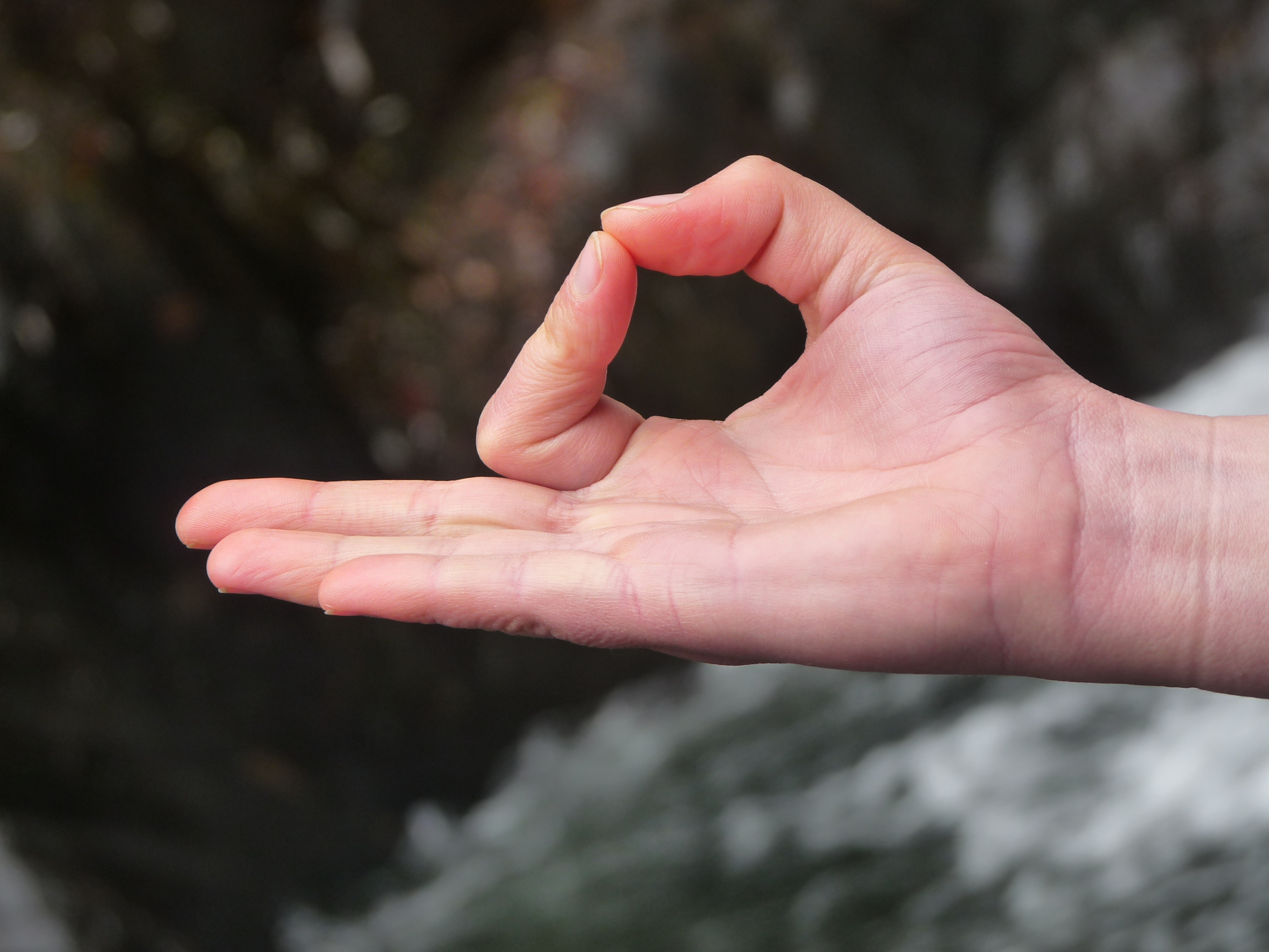 Gyan Mudra