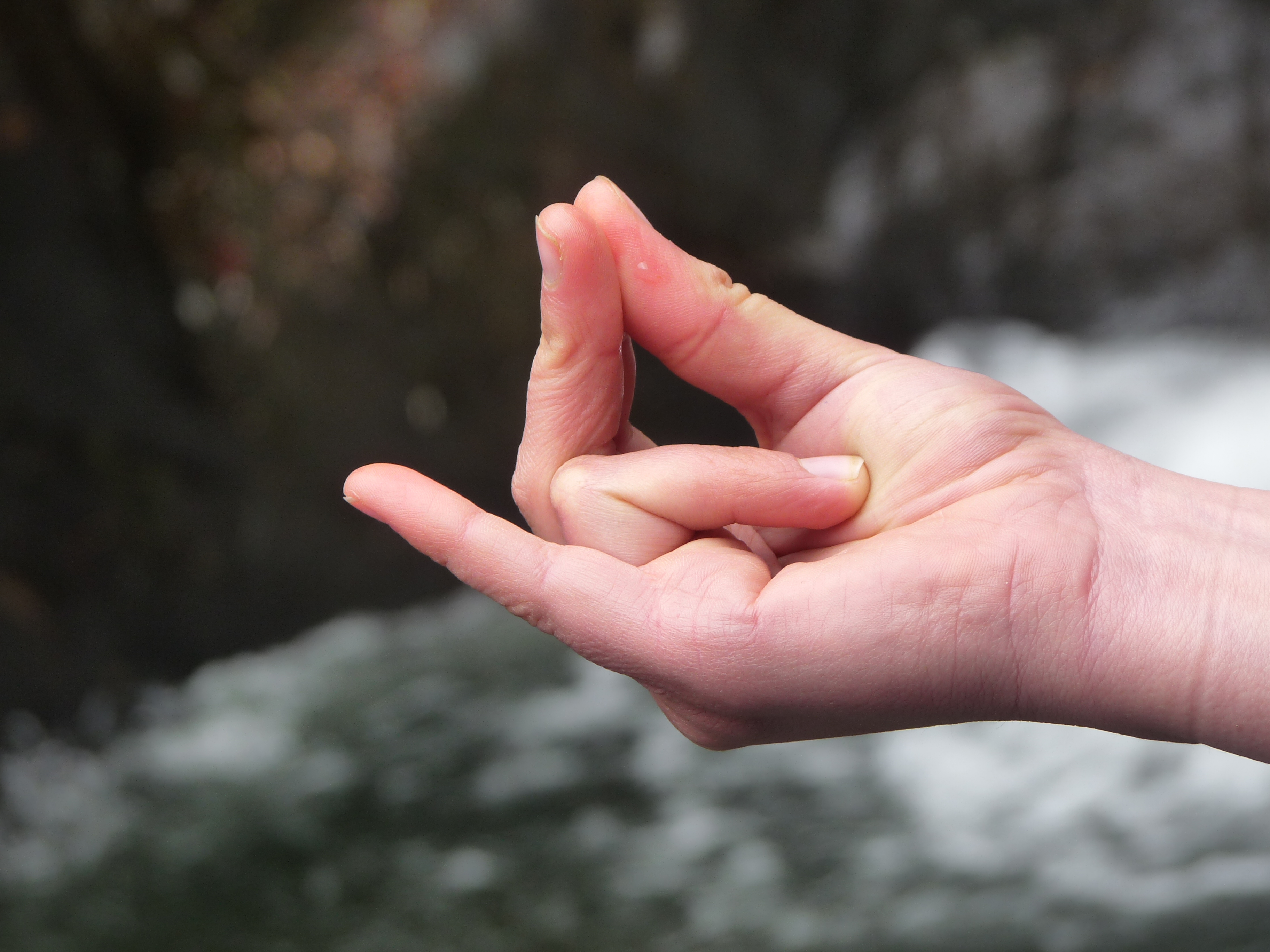 Herz-Mudra