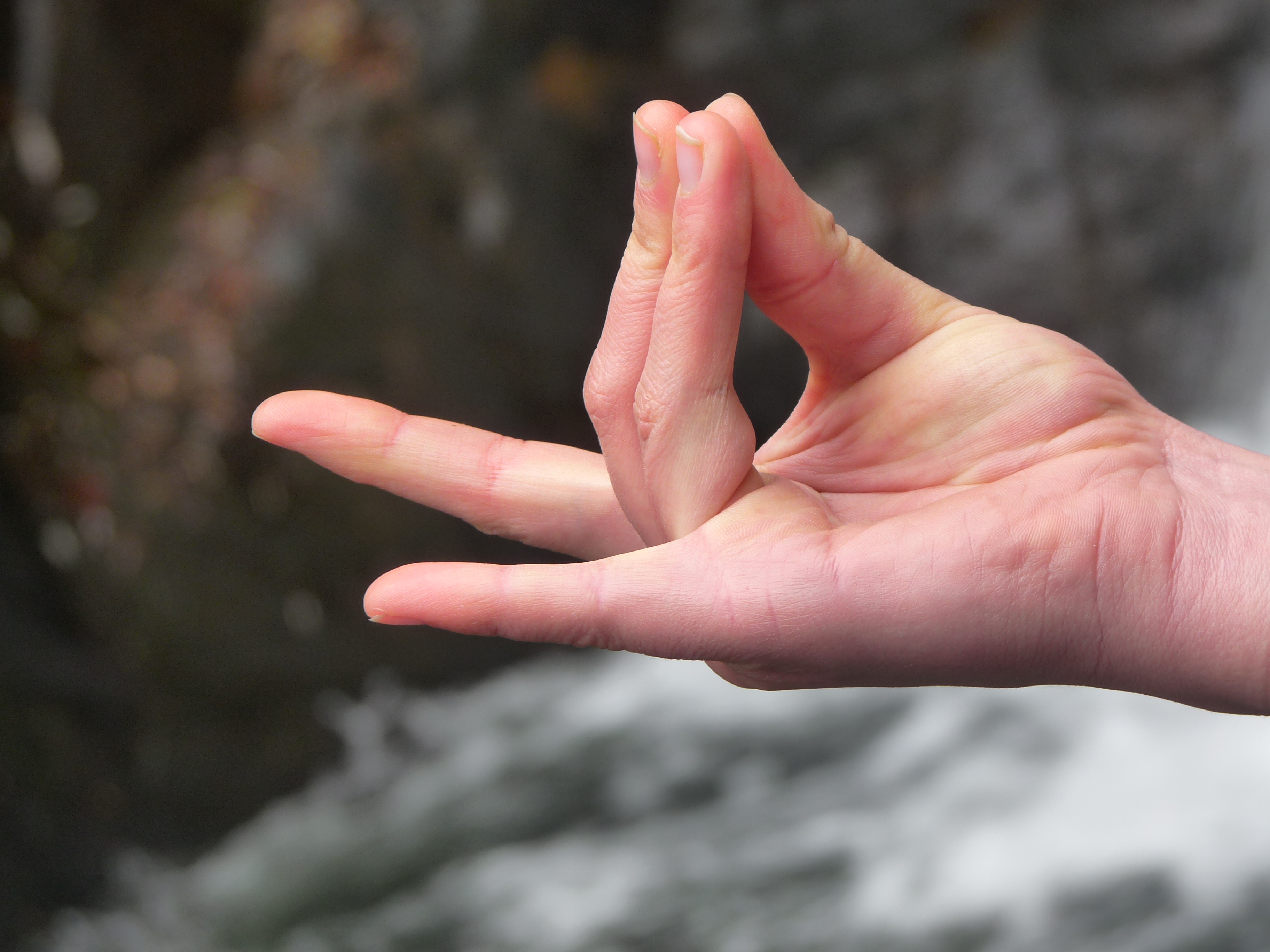 Apana Mudra