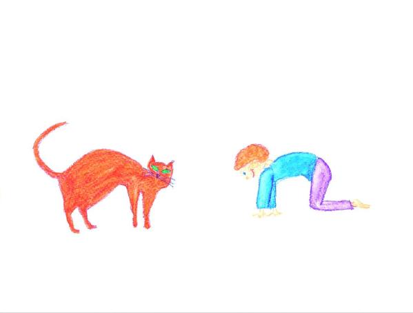 Katze_Ute_Alter